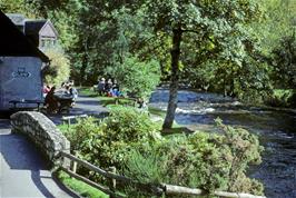 The restaurant and riverside at Fingle Bridge
