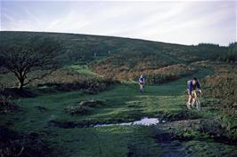 Descending from Hamel Down towards the Widecombe road