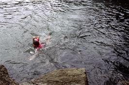Dayle Guy takes decides swimming in the cool waters of Elender Cove is just the only way back, much to everyone's amusement [New scan, July 2019]