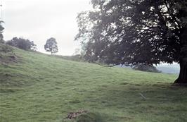 Peter Rabbit country, seen from the lane between Far Sawry and Near Sawry [Remastered scan, June 2019]