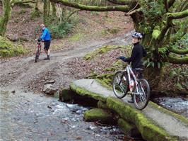 The ford at Cross Furzes - nearly back to the road now