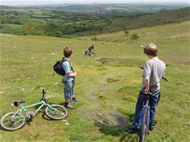 The spring on the way down the moorland track towards Owley, with South Brent in the distance