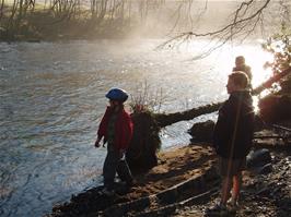 Enjoying the morning sunshine by the river Dart in Hembury Woods