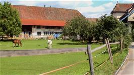 The cycle route takes us right through the centre of the delightful village of Oetlikon, 13.6 miles into the ride