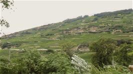 Unique landscapes at Corin, between Sierre and Granges, 41.3 miles into the ride