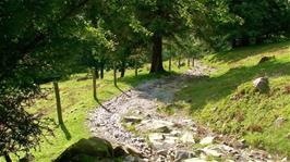 The final descent to the road at Rosthwaite, Borrowdale