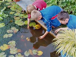 Olly, Sam and Zac go fishing - in the garden centre pond!  New photo for 2025