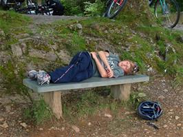 Henry takes a rest after the stiff climb to the Surprise Viewpoint overlooking Derwent Water
