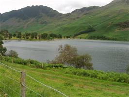 Looking back to the Buttermere Pines