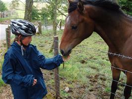 Henry feeds a friendly horse at Fangs Brow Farm