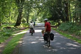 Rhinefield Road, 6.9 miles into the ride
