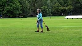 This crazy dog just kept jumping up at its owner in Fitz Park, Keswick while we ate our lunch under a tree