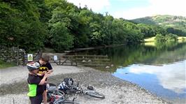 View back along the new Grasmere cycle trail, from the southern shore