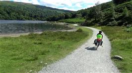 The path continues past Rydal Water on its way to Ambleside