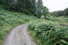 The Cumbria Way looking north