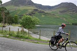 George and the Buttermere Pines