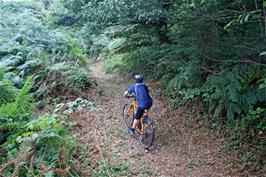 Riding the moat at Hembury Fort