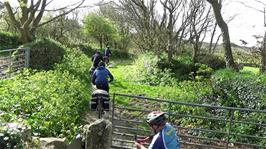 The track shortcut at Trewartha, Mithian, 3.4 miles into the ride