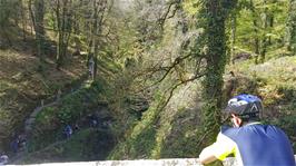 Lydford Gorge