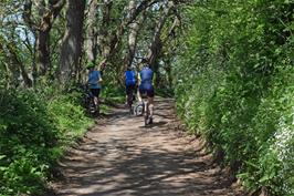 Keeping cool on the way to Otterton