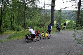 A clearing in Grizedale Forest, just above the Visitor Centre